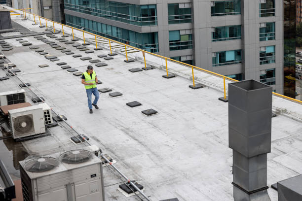 Best Rubber Roofing (EPDM, TPO)  in Morrisonvle, IL