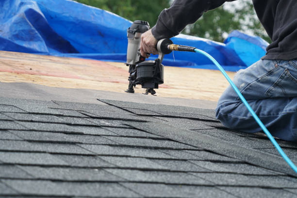 Best Chimney Flashing Repair  in Morrisonvle, IL