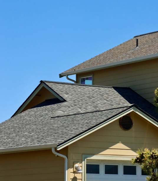 Best Commercial Roofing Services  in Morrisonvle, IL