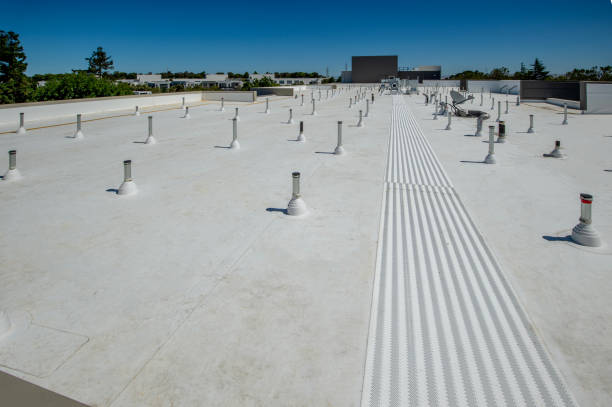 Best Roofing for New Construction  in Morrisonvle, IL